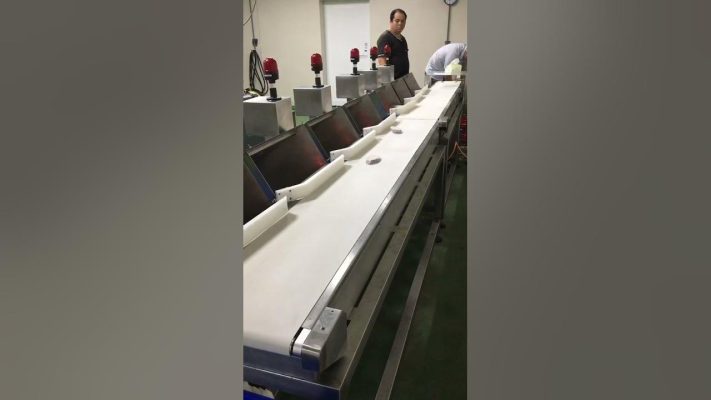 擺臂式海鮮分選機