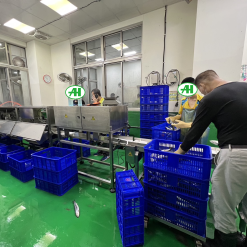 裕珍皇六級分選秤4