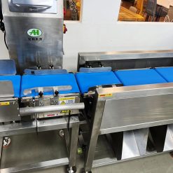 龍行天下(八條)兩級分選秤16